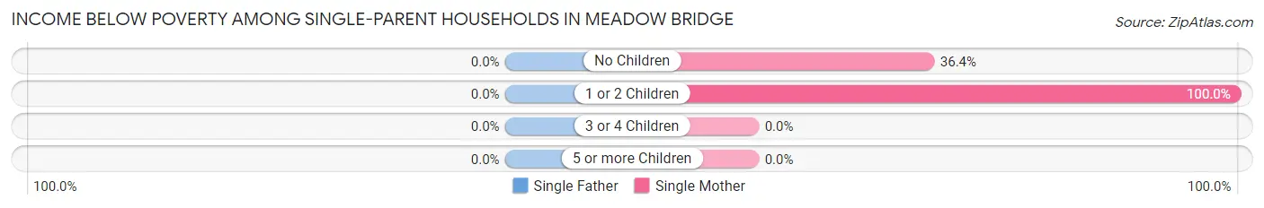 Income Below Poverty Among Single-Parent Households in Meadow Bridge