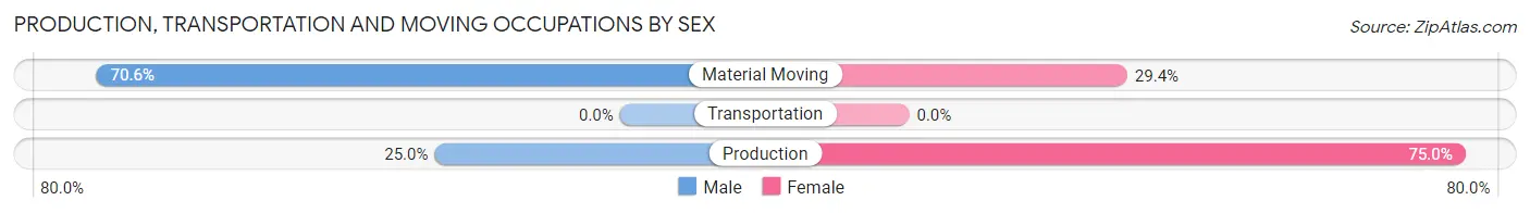 Production, Transportation and Moving Occupations by Sex in Meadow Bridge