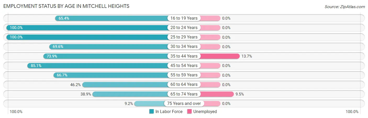 Employment Status by Age in Mitchell Heights
