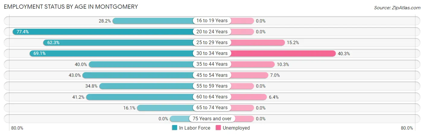 Employment Status by Age in Montgomery
