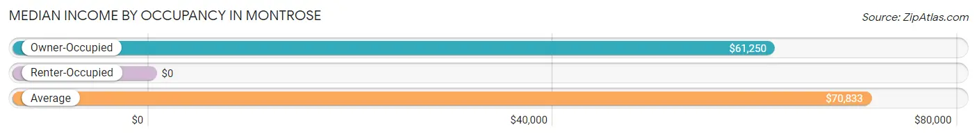 Median Income by Occupancy in Montrose