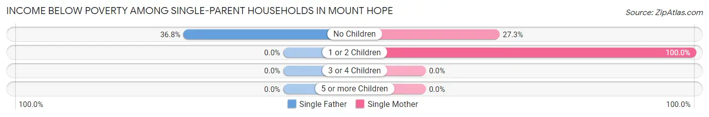 Income Below Poverty Among Single-Parent Households in Mount Hope