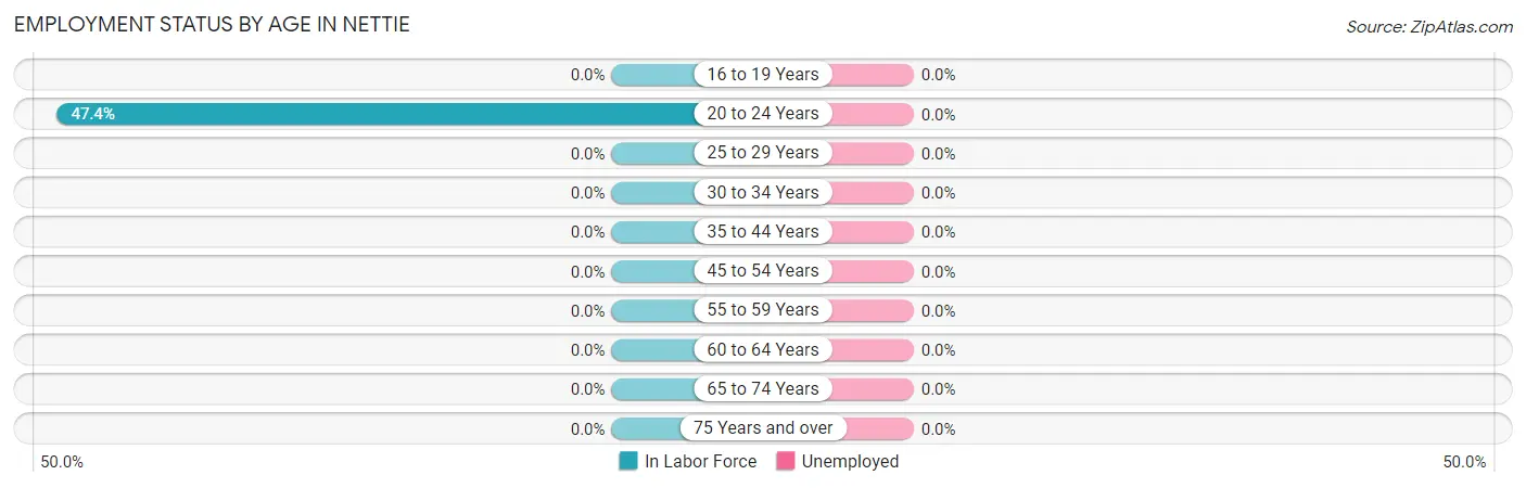 Employment Status by Age in Nettie