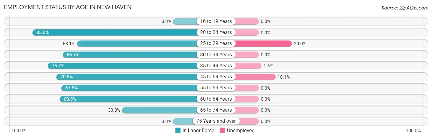 Employment Status by Age in New Haven