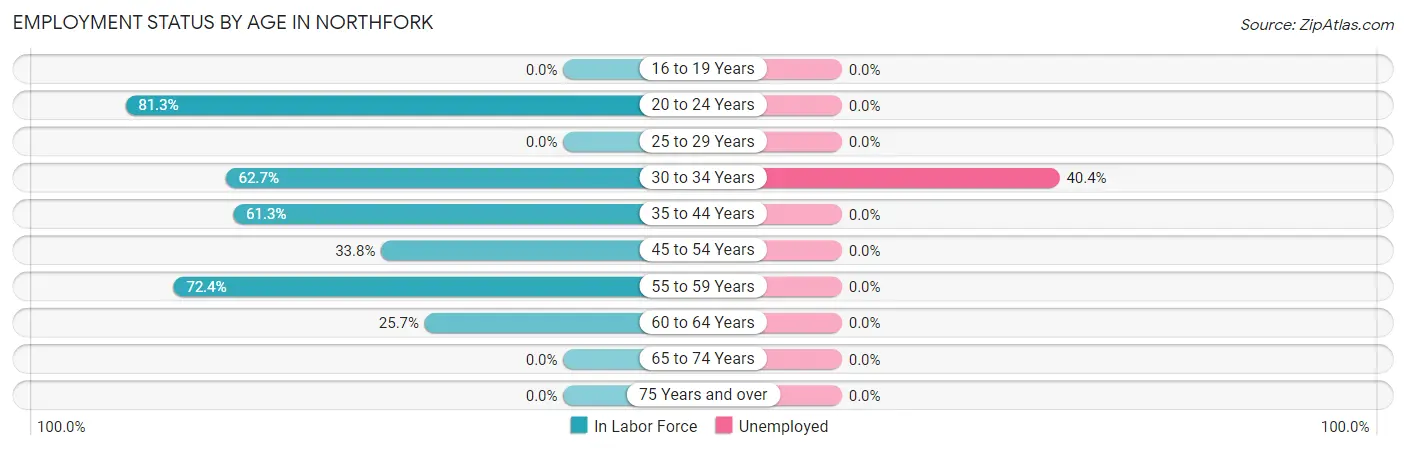 Employment Status by Age in Northfork