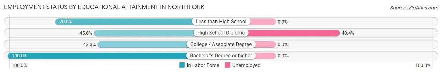Employment Status by Educational Attainment in Northfork