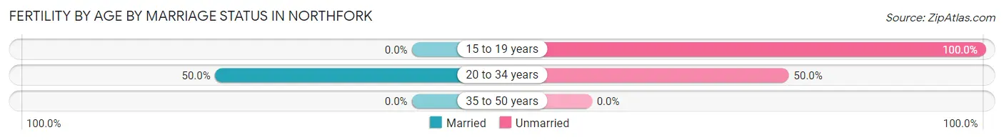 Female Fertility by Age by Marriage Status in Northfork