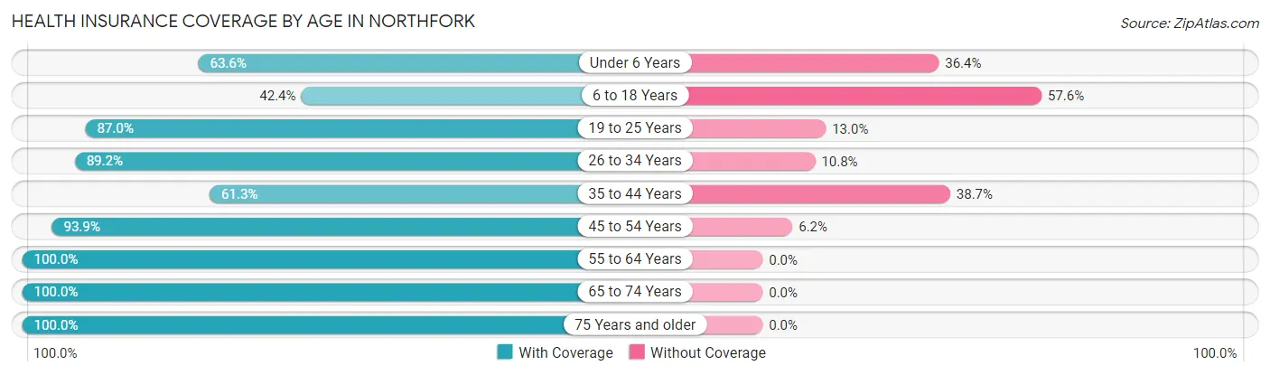 Health Insurance Coverage by Age in Northfork