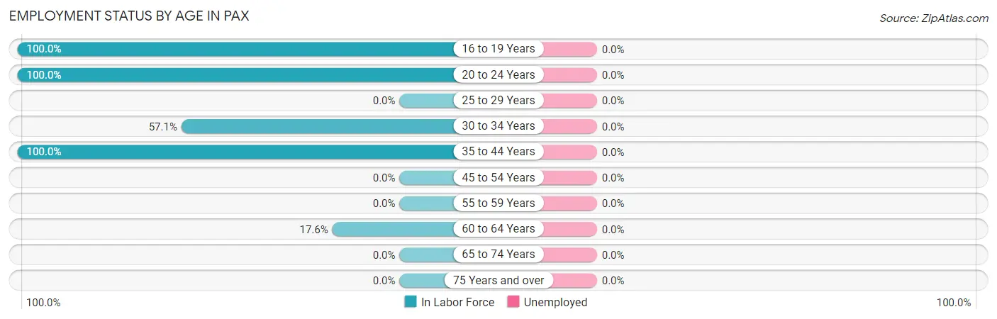 Employment Status by Age in Pax