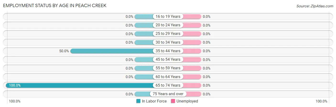 Employment Status by Age in Peach Creek