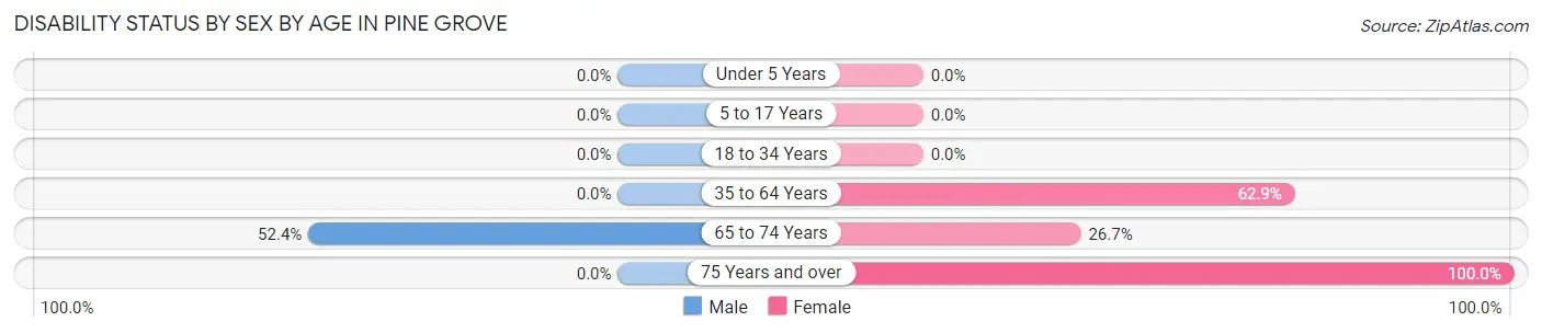 Disability Status by Sex by Age in Pine Grove