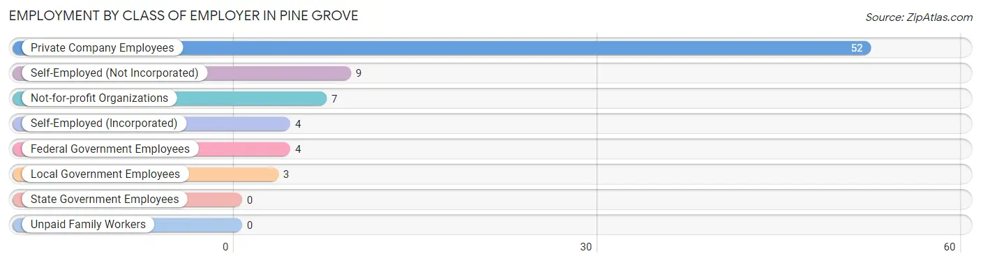 Employment by Class of Employer in Pine Grove