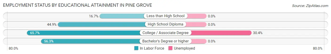 Employment Status by Educational Attainment in Pine Grove