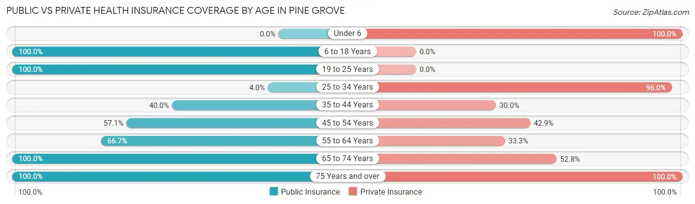 Public vs Private Health Insurance Coverage by Age in Pine Grove
