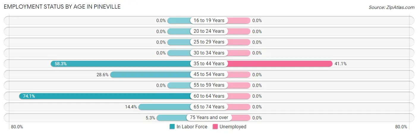 Employment Status by Age in Pineville