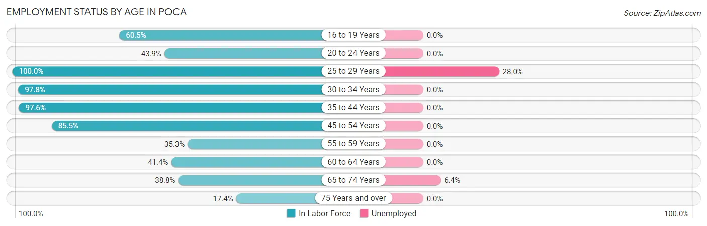 Employment Status by Age in Poca