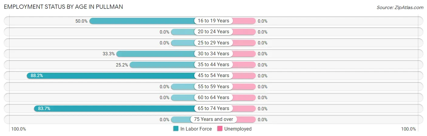 Employment Status by Age in Pullman