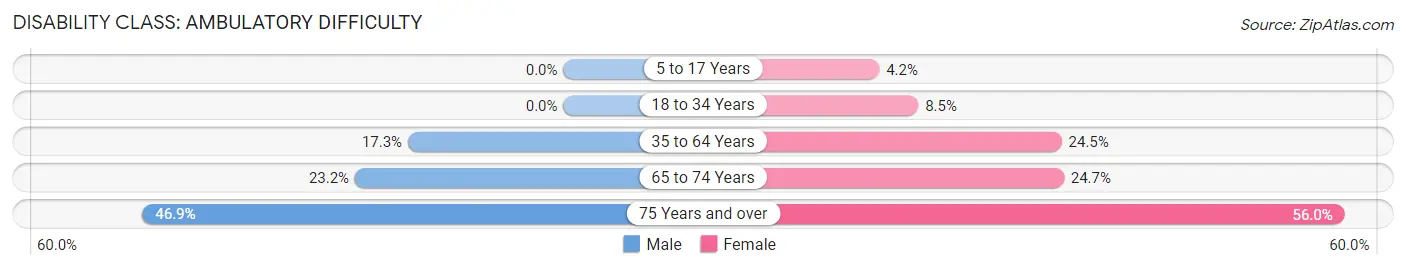 Disability in Rainelle: <span>Ambulatory Difficulty</span>