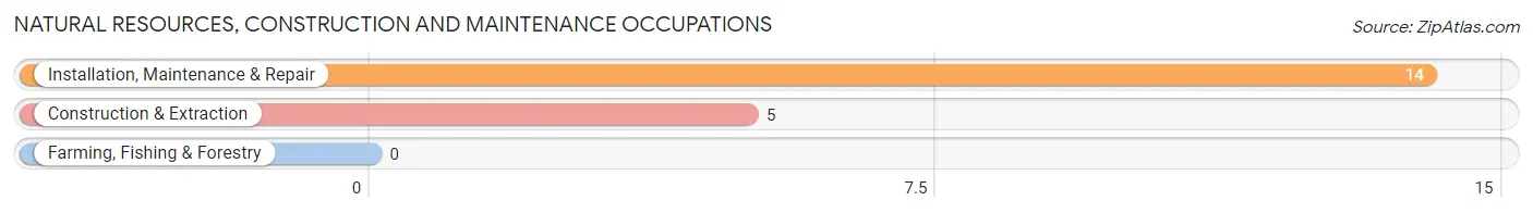 Natural Resources, Construction and Maintenance Occupations in Rainelle