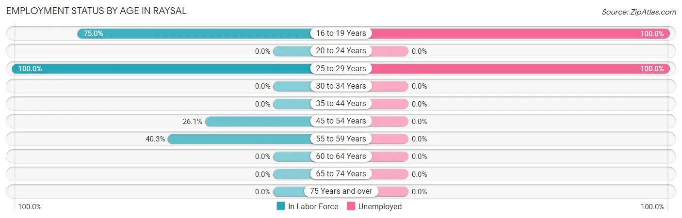 Employment Status by Age in Raysal