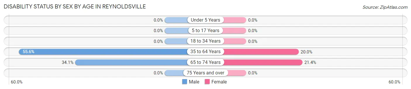 Disability Status by Sex by Age in Reynoldsville