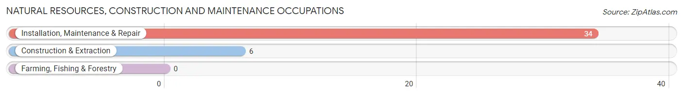 Natural Resources, Construction and Maintenance Occupations in Reynoldsville