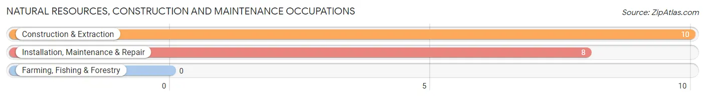 Natural Resources, Construction and Maintenance Occupations in Rhodell