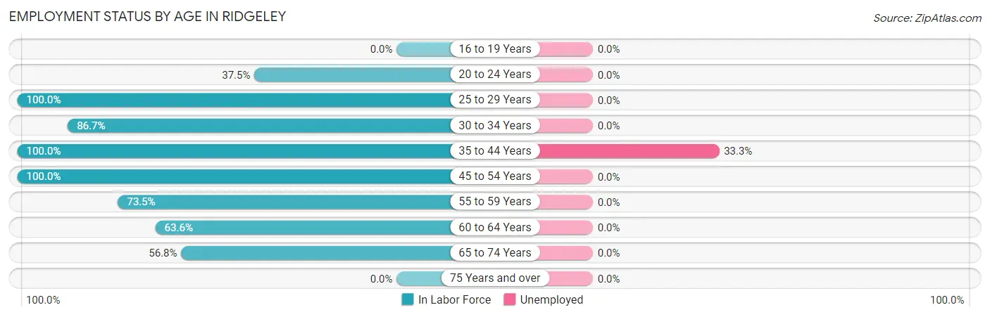 Employment Status by Age in Ridgeley