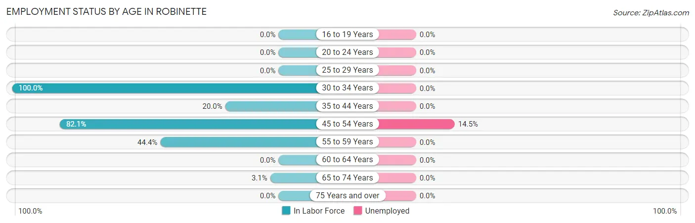 Employment Status by Age in Robinette