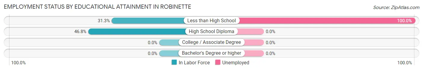 Employment Status by Educational Attainment in Robinette