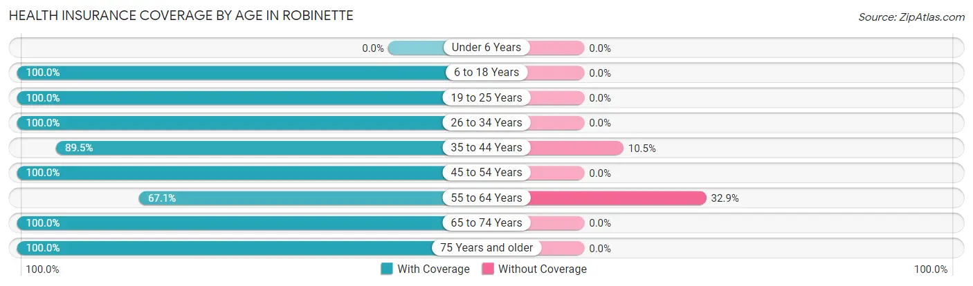 Health Insurance Coverage by Age in Robinette
