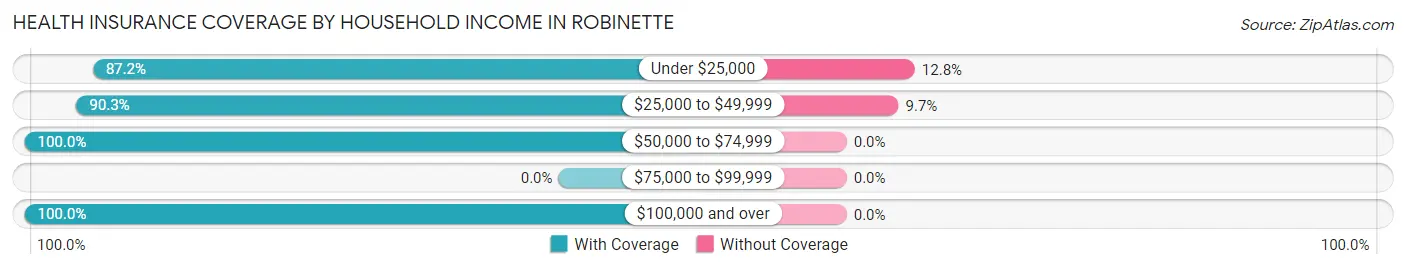 Health Insurance Coverage by Household Income in Robinette