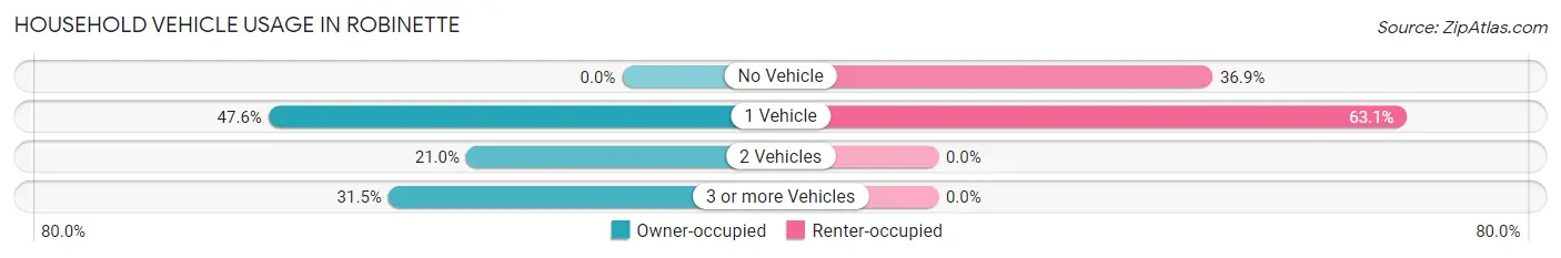 Household Vehicle Usage in Robinette
