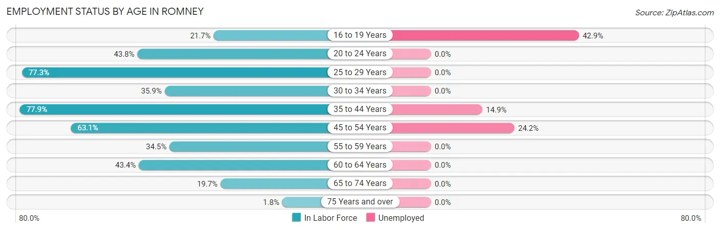 Employment Status by Age in Romney