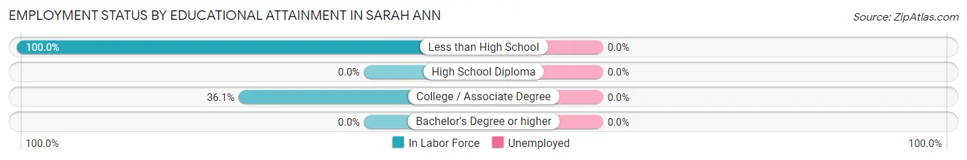 Employment Status by Educational Attainment in Sarah Ann