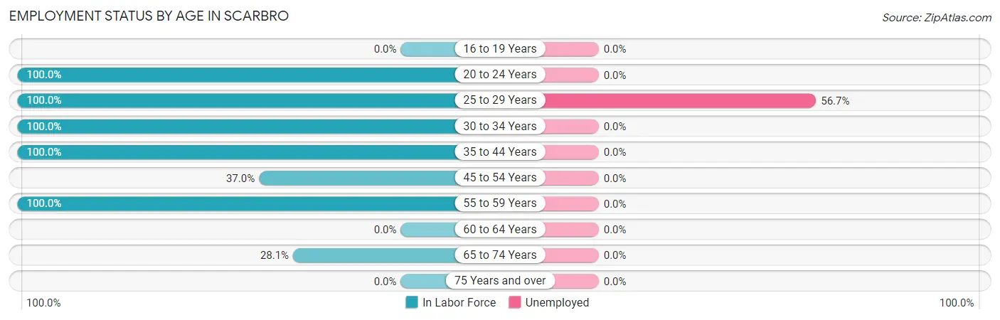 Employment Status by Age in Scarbro