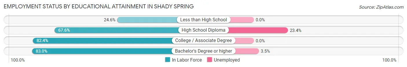 Employment Status by Educational Attainment in Shady Spring