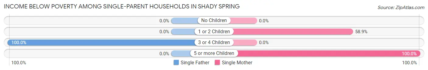 Income Below Poverty Among Single-Parent Households in Shady Spring