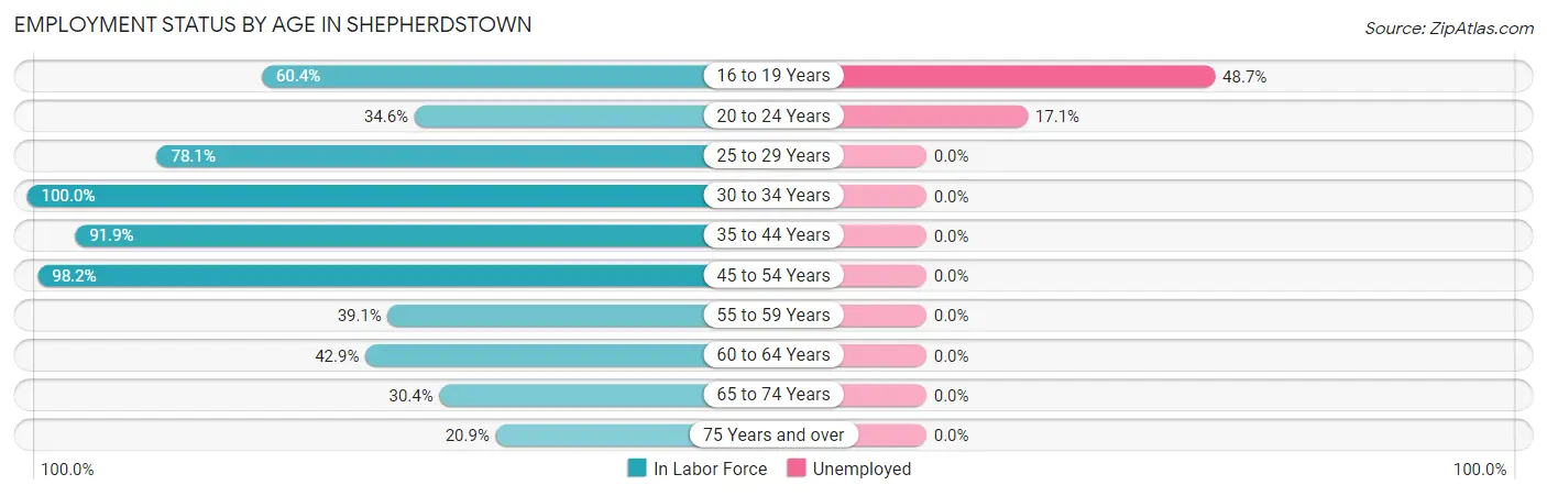 Employment Status by Age in Shepherdstown