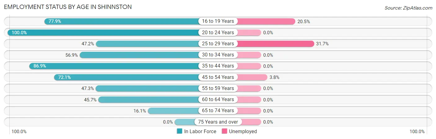 Employment Status by Age in Shinnston