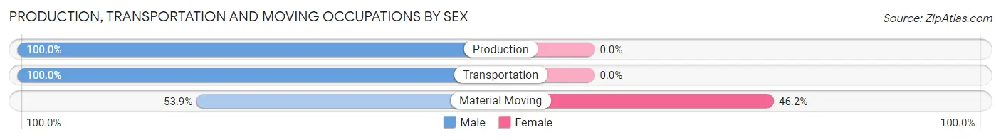 Production, Transportation and Moving Occupations by Sex in Shinnston