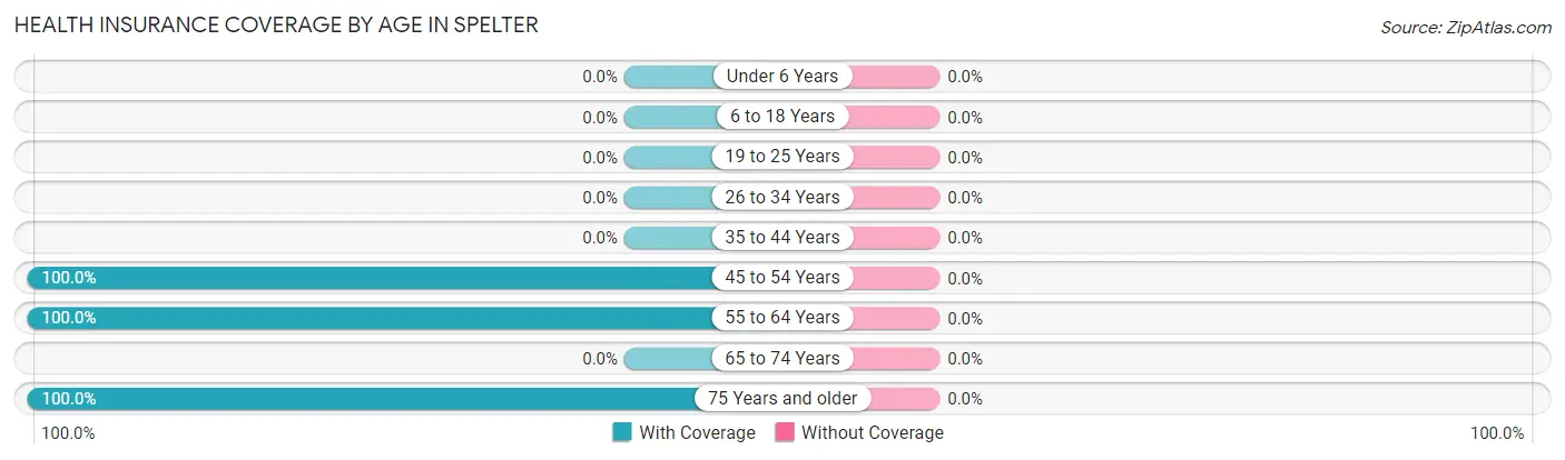 Health Insurance Coverage by Age in Spelter