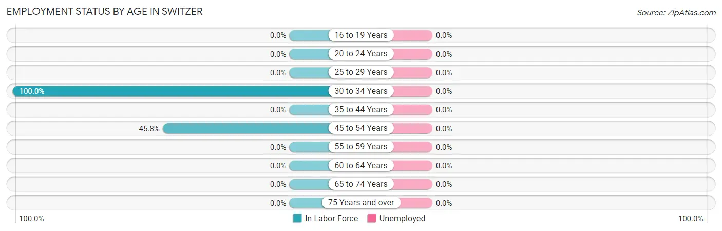Employment Status by Age in Switzer