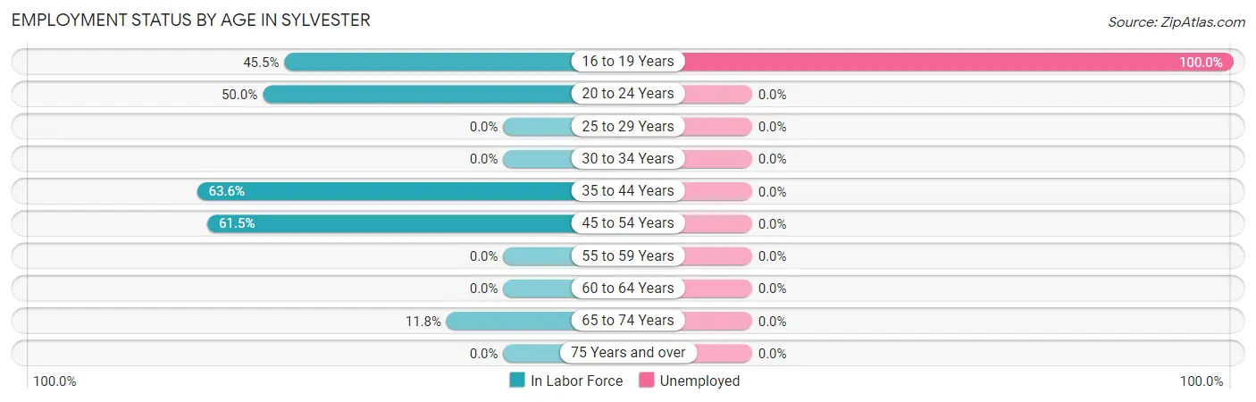 Employment Status by Age in Sylvester