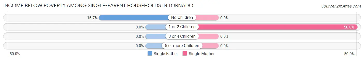 Income Below Poverty Among Single-Parent Households in Tornado