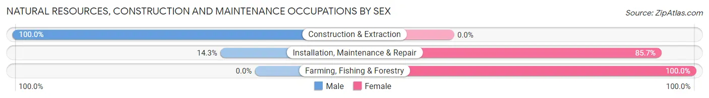 Natural Resources, Construction and Maintenance Occupations by Sex in Tornado