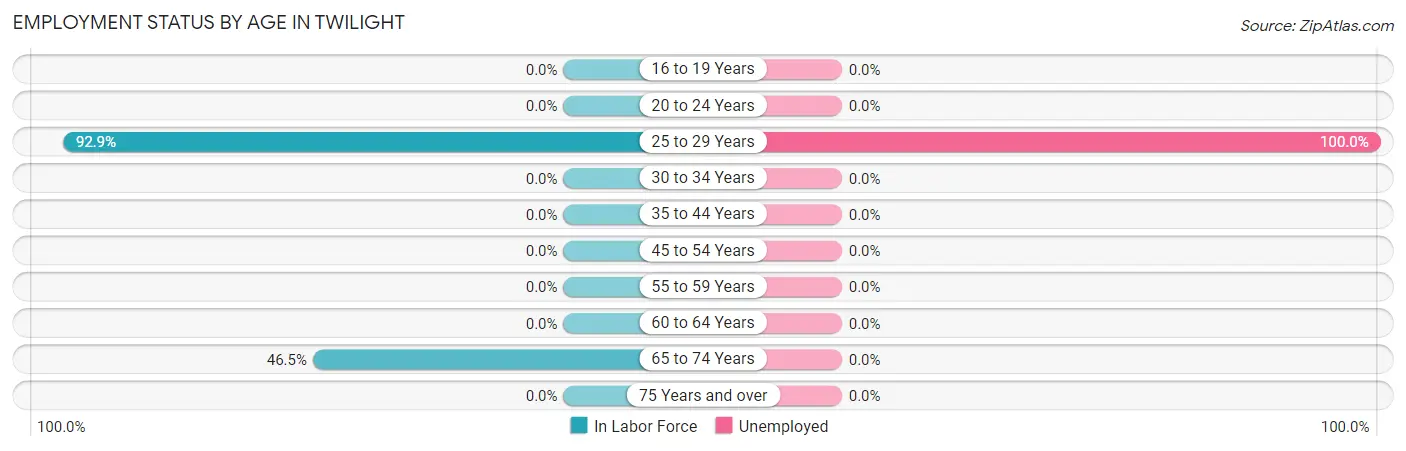 Employment Status by Age in Twilight