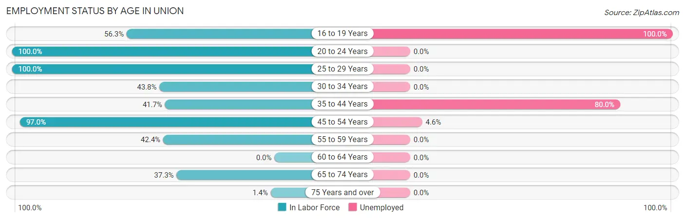 Employment Status by Age in Union