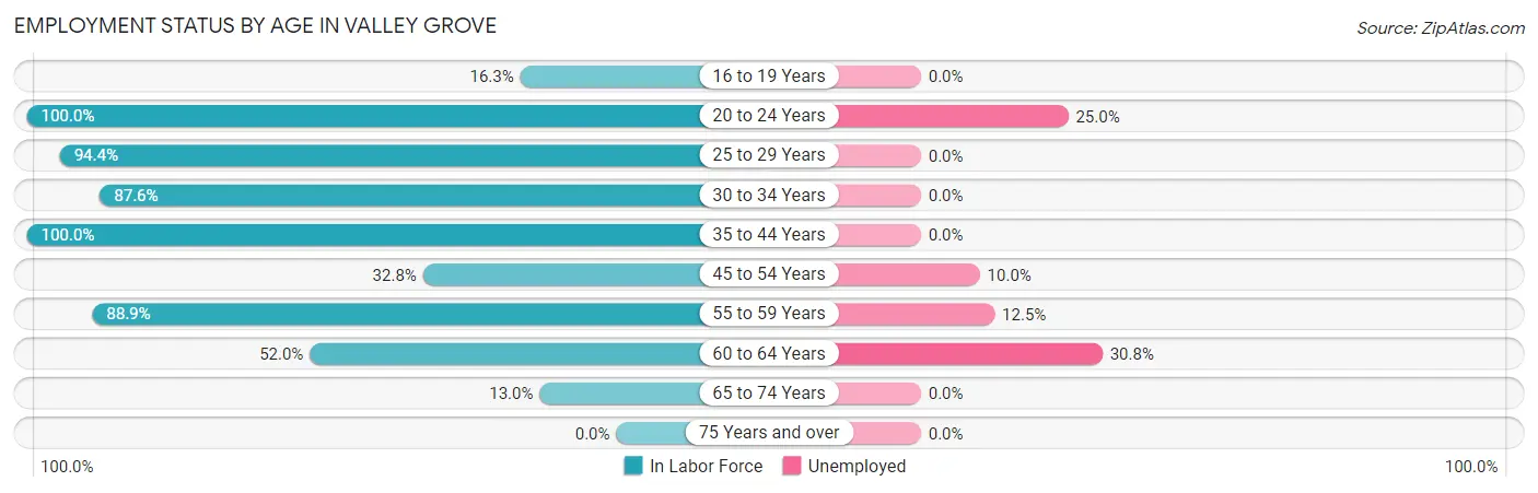 Employment Status by Age in Valley Grove