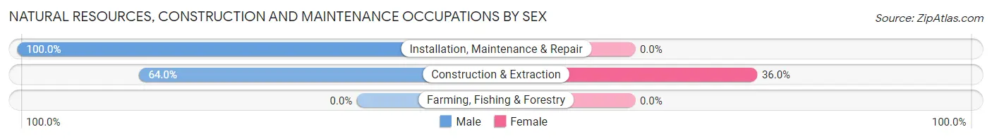 Natural Resources, Construction and Maintenance Occupations by Sex in Valley Grove